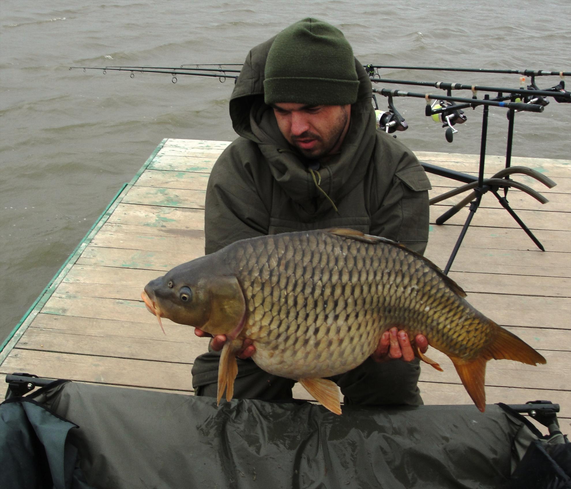 de la A la Z - dsc09451.JPG